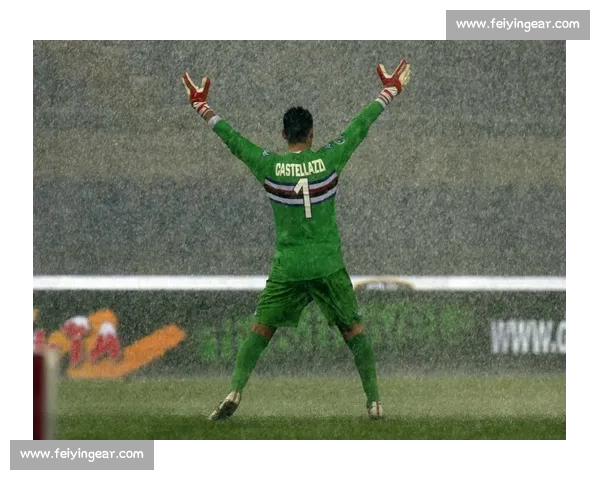 意甲联赛精彩赛事直播全面开启 快速掌握最新比赛动态与精彩瞬间